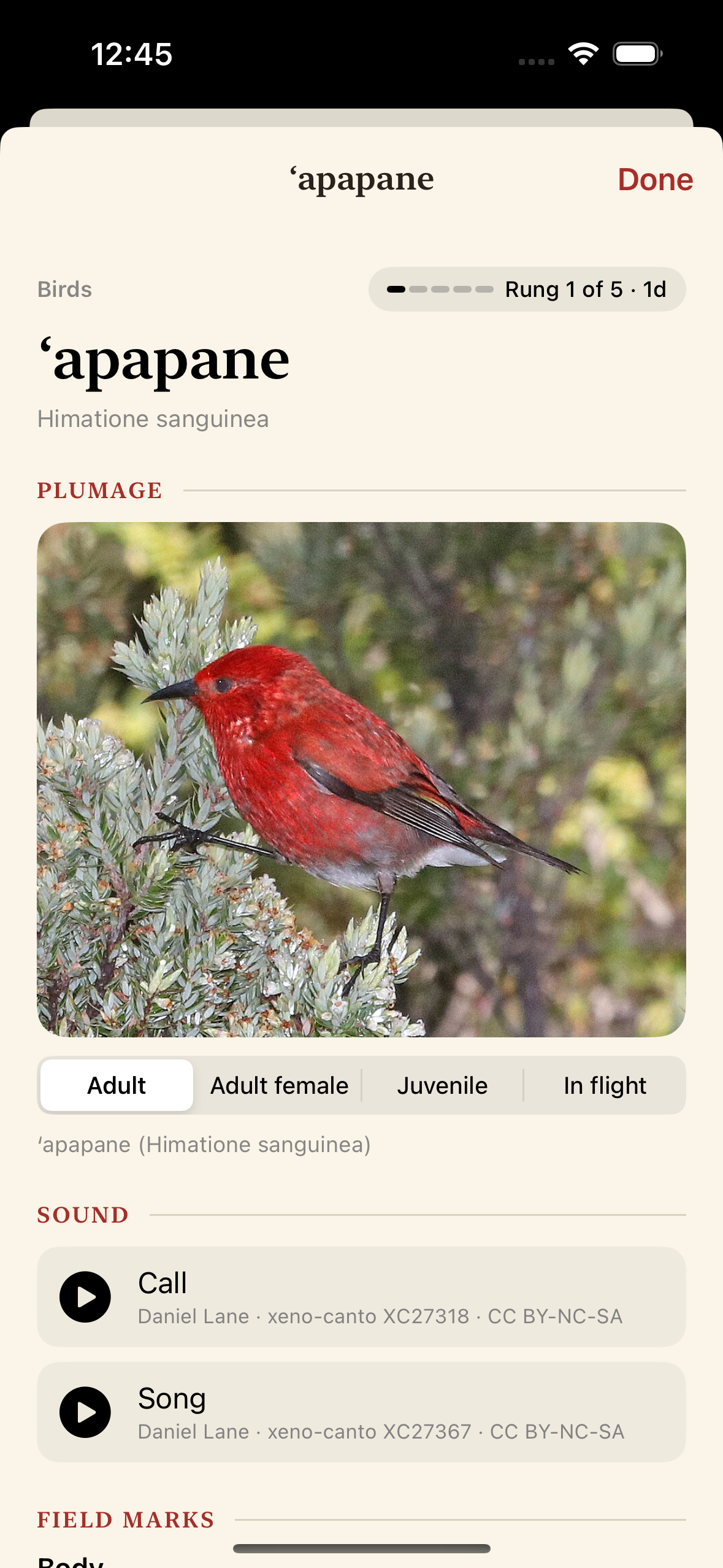 The ʻapapane card: plumage, tabbed by life stage, over call and song