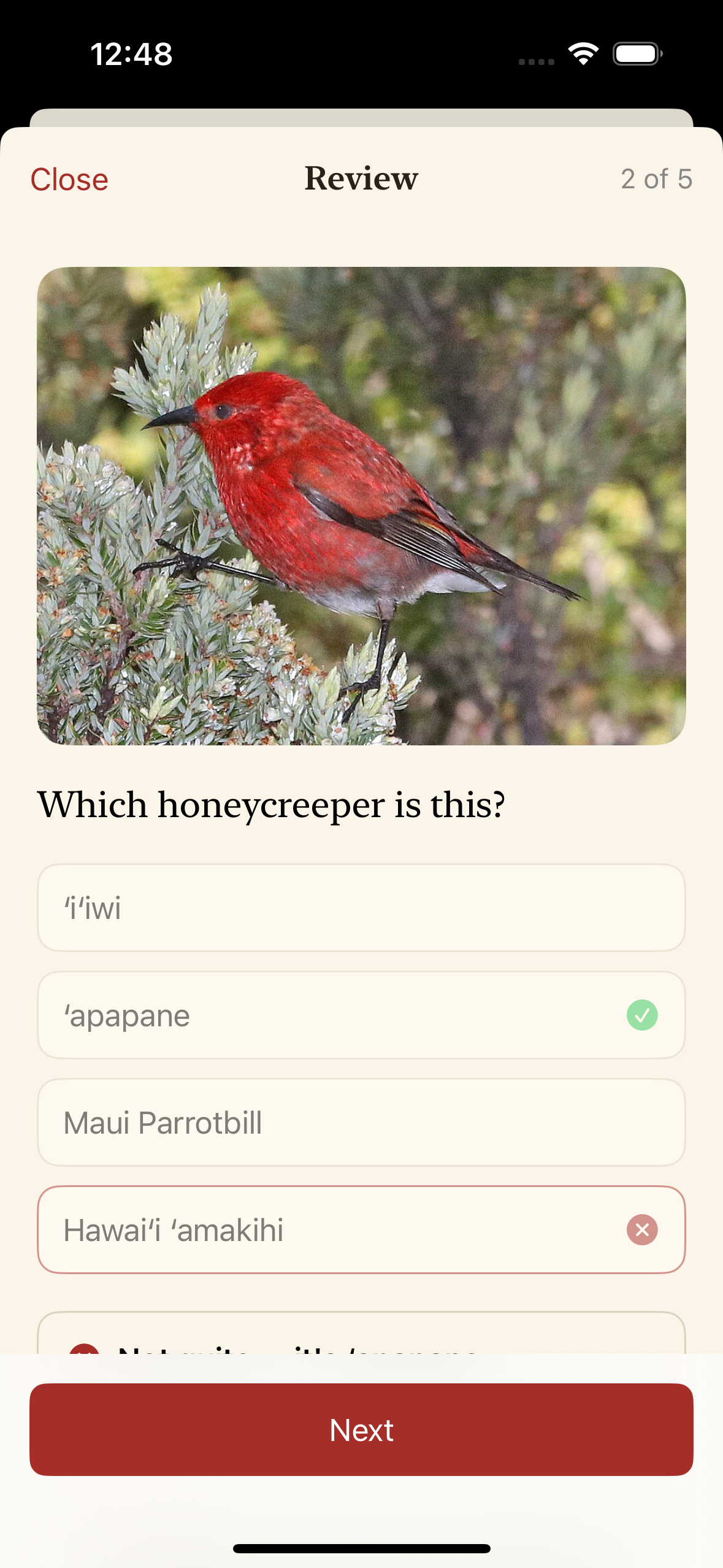 An ID round, four honeycreepers as options, marked right and wrong in place